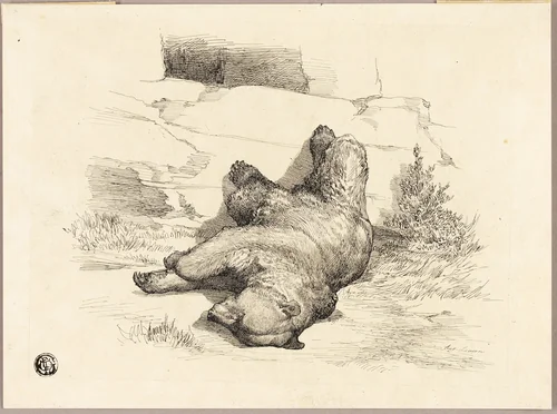 Russian Bear by Auguste Andre Lançon, drawing, 1856-1887