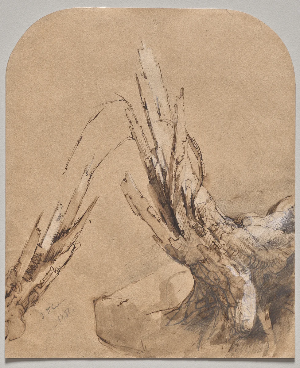 A Blasted Tree (recto) by Jasper Cropsey, drawing, 1851