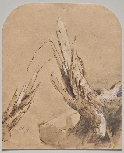 A Blasted Tree (recto) by Jasper Cropsey, drawing, 1851