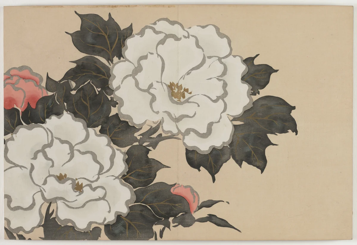 Flowers of a Hundred Worlds (Momoyogusa): Peonies (Fukamigusa) by Kamisaka Sekka, book, 1909-1910