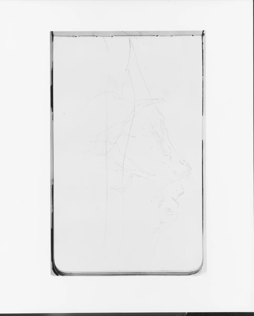 Sketches of Two Trees and a Mountain (from Sketchbook) by Albert Bierstadt, artwork, 1890