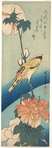 A Black-Naped Oriole on a Stem of Rose Mallow by Utagawa Hiroshige (歌川広重), print, 1824-1844