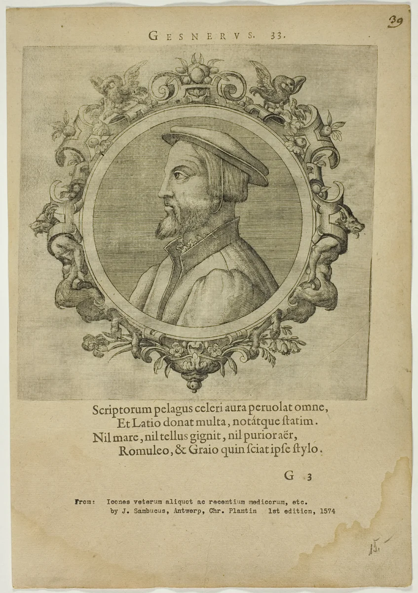 Portrait of Gesnerus by Unknown Artist, print, 1574