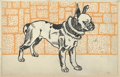 Pitbull Terrier by Moriz Jung, print, 1912