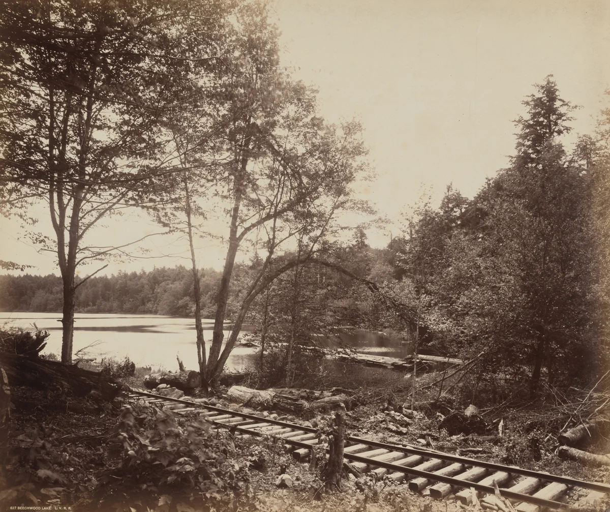 Beechwood Lake by William H. Rau, photograph, 1890-1900
