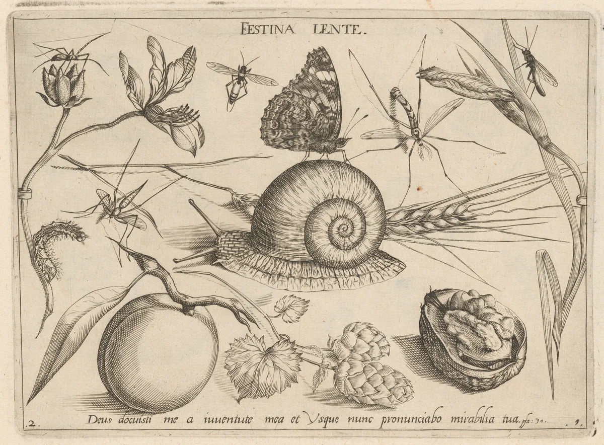 Archetypa studiaque patris Georgii Hoefnagelii [Part 1, Plate 2] by Jacob Hoefnagel; Joris Hoefnagel, print, 1592