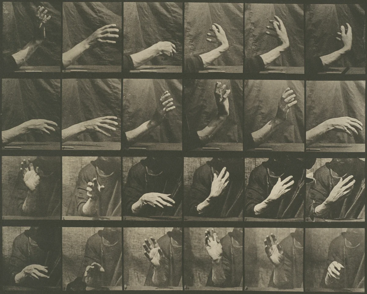 Animal Locomotion, Plate 535 by Eadweard Muybridge, photograph, 1887