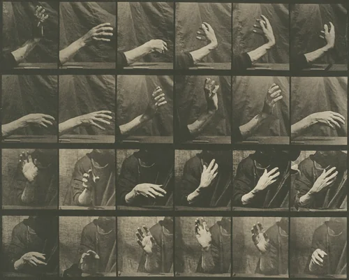 Animal Locomotion, Plate 535 by Eadweard Muybridge, photograph, 1887