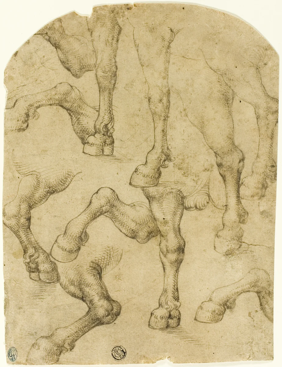 Sketches of Horses' (or Dromedaries') Legs (recto); Columns (verso) by Leonardo da Vinci, drawing, 1528-1532