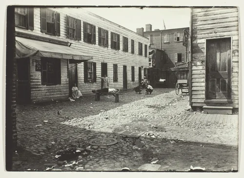 Negro Alley Housing Whites, Washington, D.C. by Lewis Wickes Hine, photograph, 1909