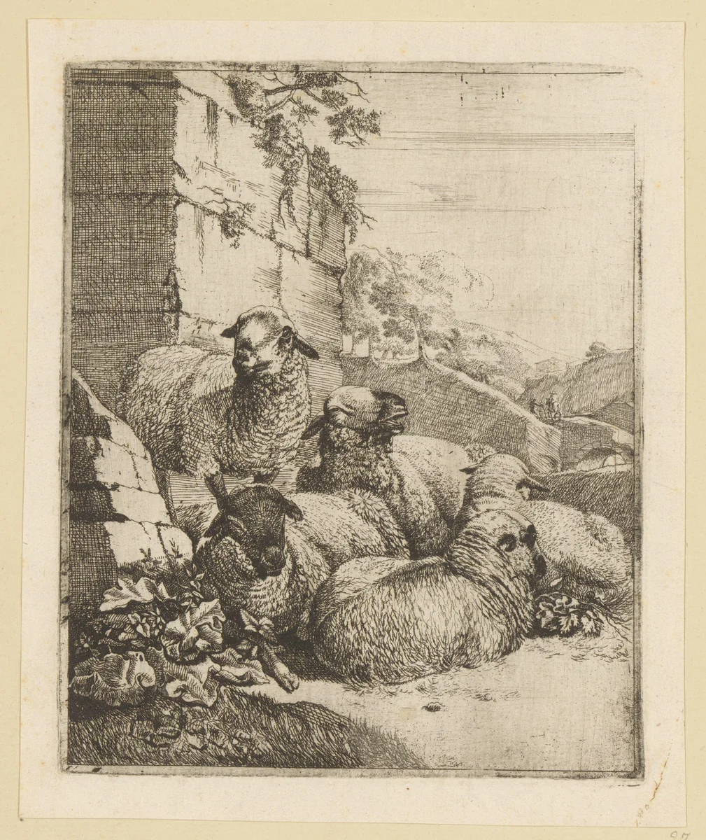 Vier liggende en een staand schaap by Johann Heinrich Roos, print, 1668-1670