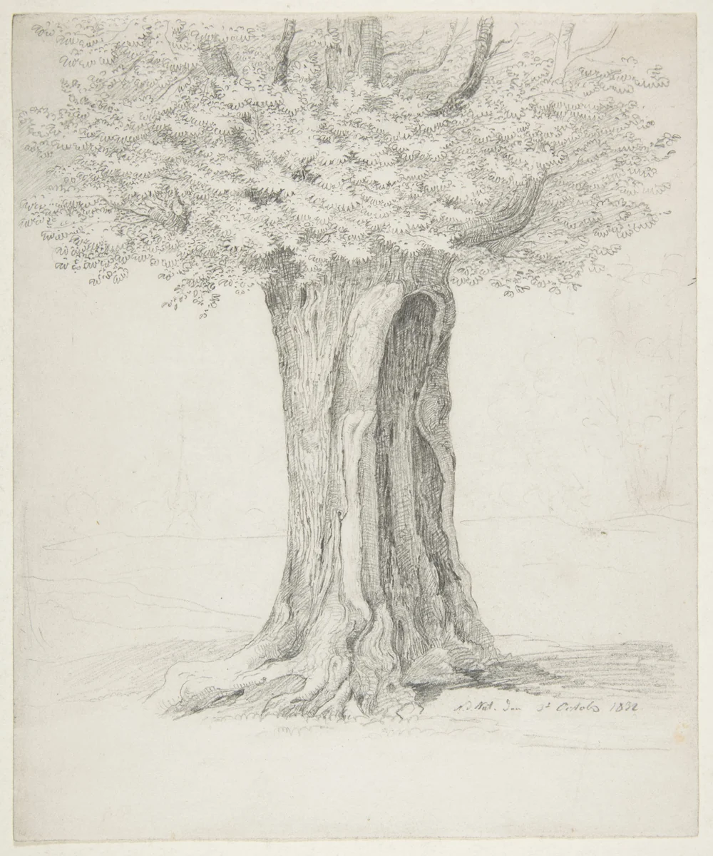 Study of a Tree; verso: Study of Houses by Ernst Ferdinand Oehme, drawing, 1832