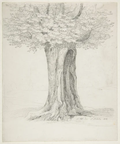 Study of a Tree; verso: Study of Houses by Ernst Ferdinand Oehme, drawing, 1832