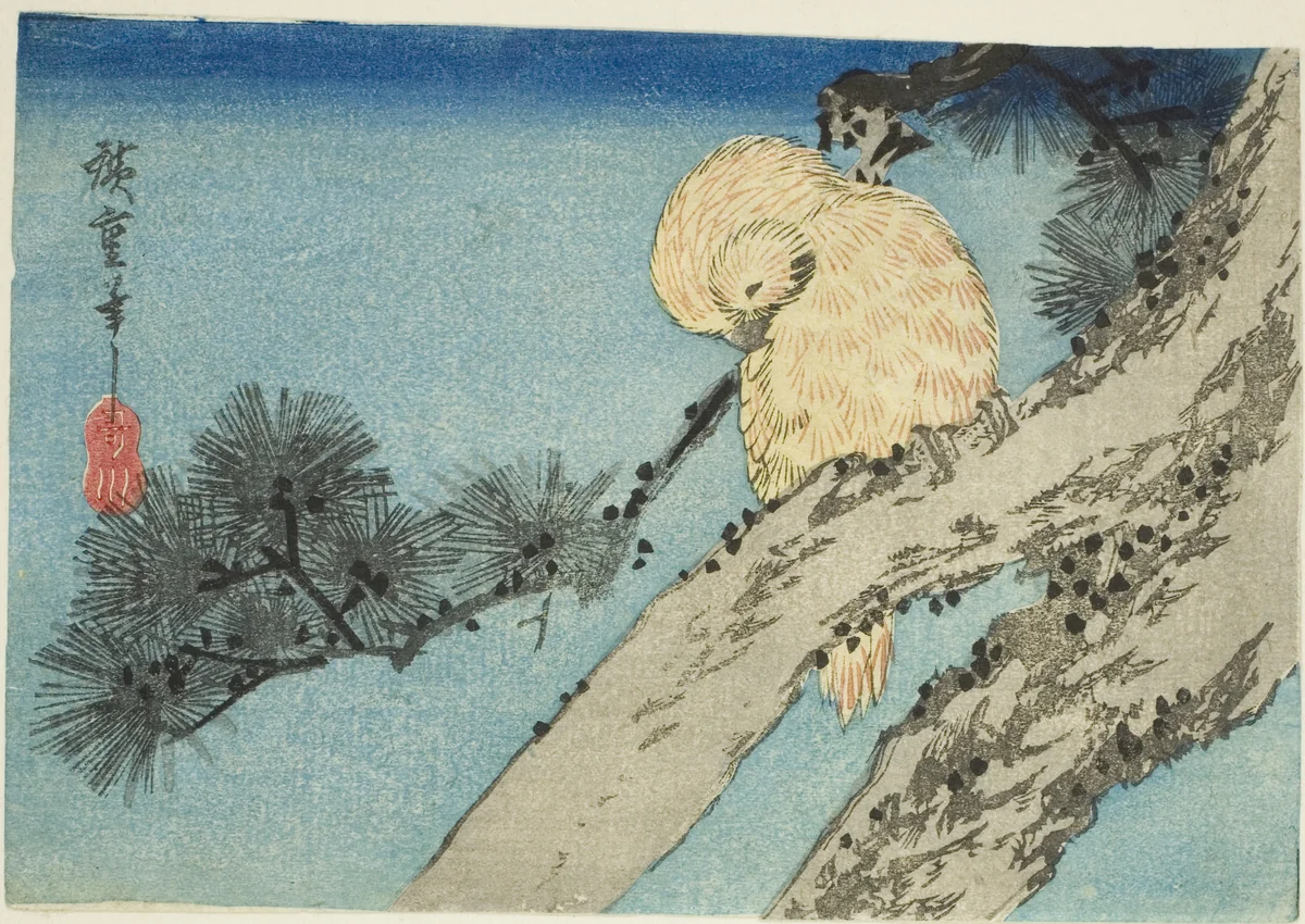 Owl on pine branch by Utagawa Hiroshige (歌川広重), print, 1830-1839