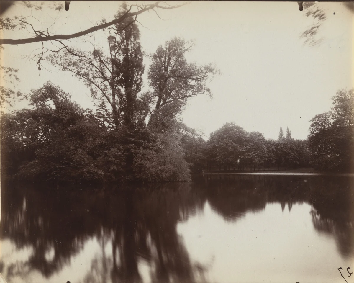 Bois de Boulogne by Eugène Atget, photograph, 1923