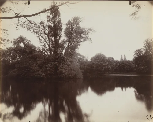 Bois de Boulogne by Eugène Atget, photograph, 1923
