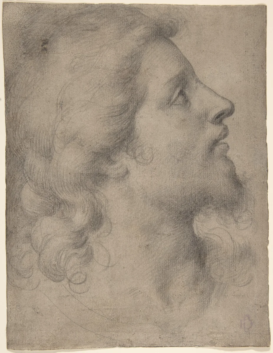 Head of a Bearded, Young Man in Profile Facing Right by Bronzino, drawing, 1545-1555
