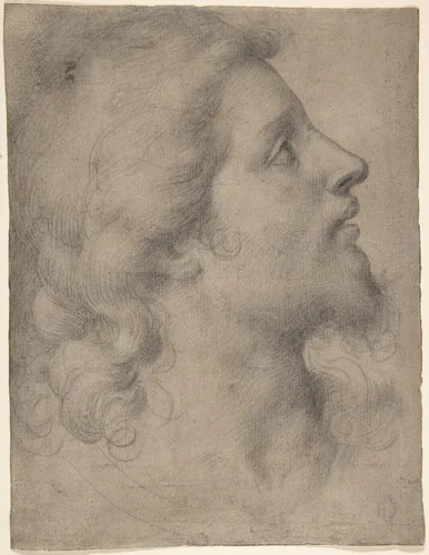 Head of a Bearded, Young Man in Profile Facing Right by Bronzino, drawing, 1545-1555