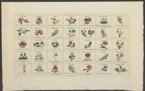 Vijfendertig verschillende bloemen en vruchten by anonymous, print, 1801-1855