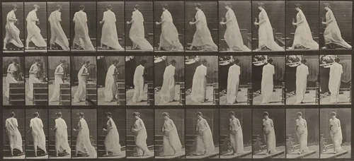 Plate Number 97. Turning to ascend stairs, with a pitcher and a goblet in hands by Eadweard Muybridge, photograph, 1887
