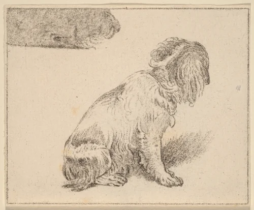 Seated Dog by Cornelis Ploos van Amstel; Cornelis Brouwer; Frans van Mieris, print, 1777