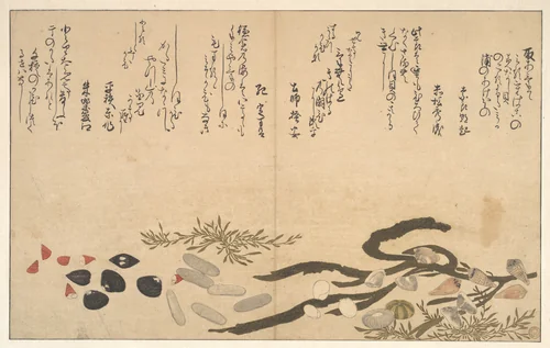 Shells under Water by Kitagawa Utamaro (喜多川歌麿), print, 1790