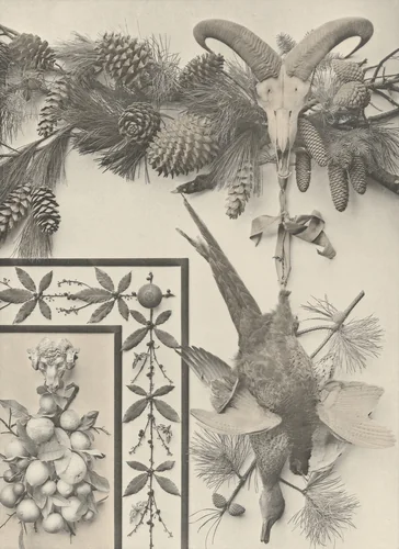 Page from Festons und Dekorative Gruppen by Unidentified Photographer, photograph, 1893