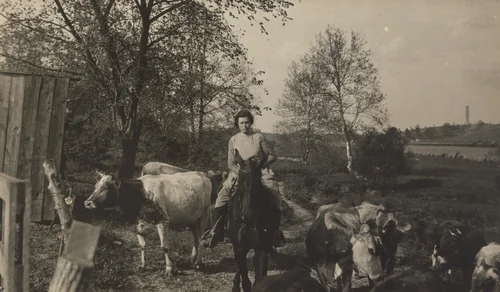 Near Elizabethtown, Kentucky by Lewis Wickes Hine, photograph, 1916