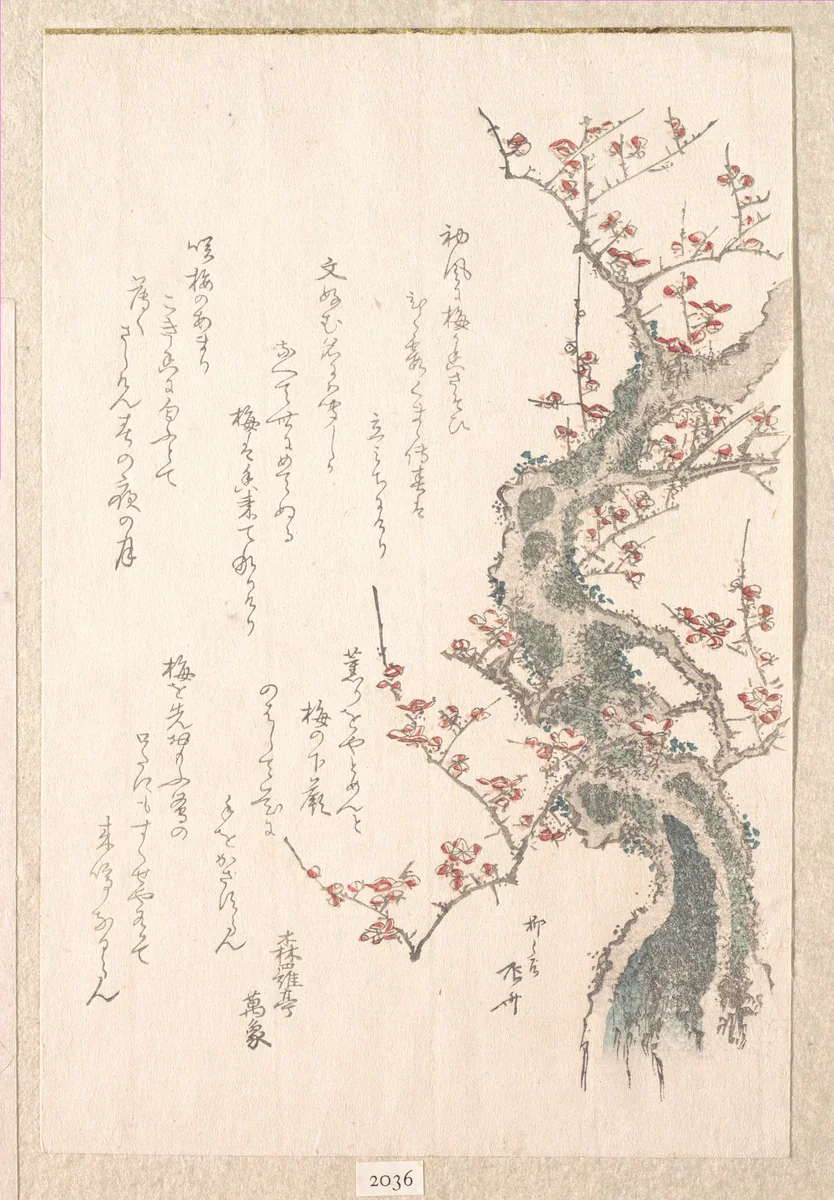 Spring Rain Collection (Harusame shū), vol. 1: Plum Tree in Bloom by Ryūryūkyo Shinsai (柳々居辰斎), print, 1805-1810
