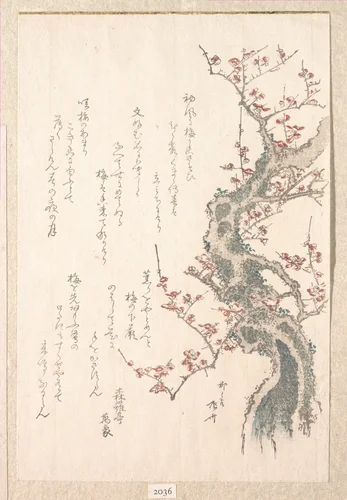Spring Rain Collection (Harusame shū), vol. 1: Plum Tree in Bloom by Ryūryūkyo Shinsai (柳々居辰斎), print, 1805-1810