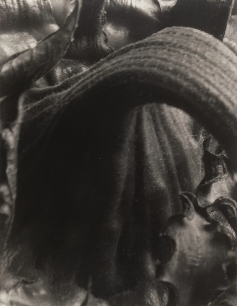 Sunflowers from Seed to Seed by Edward Steichen, photograph, 1920
