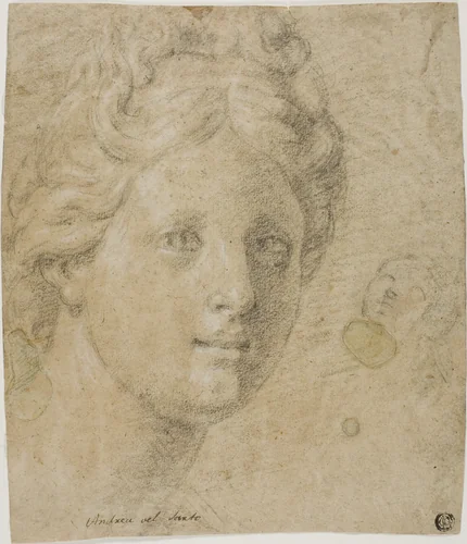 Head of a Woman by Antonio Balestra, drawing, 1500-1740