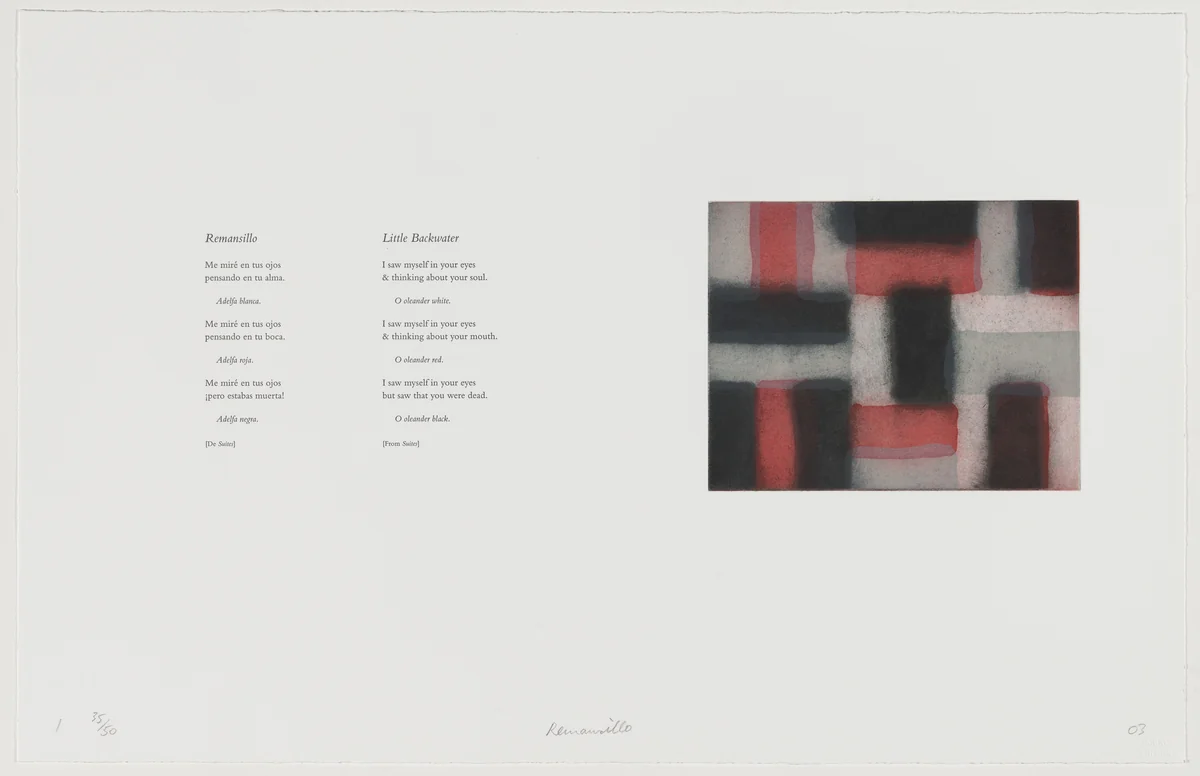 Remansillo [Little Backwater] by Sean Scully, portfolio, 2003