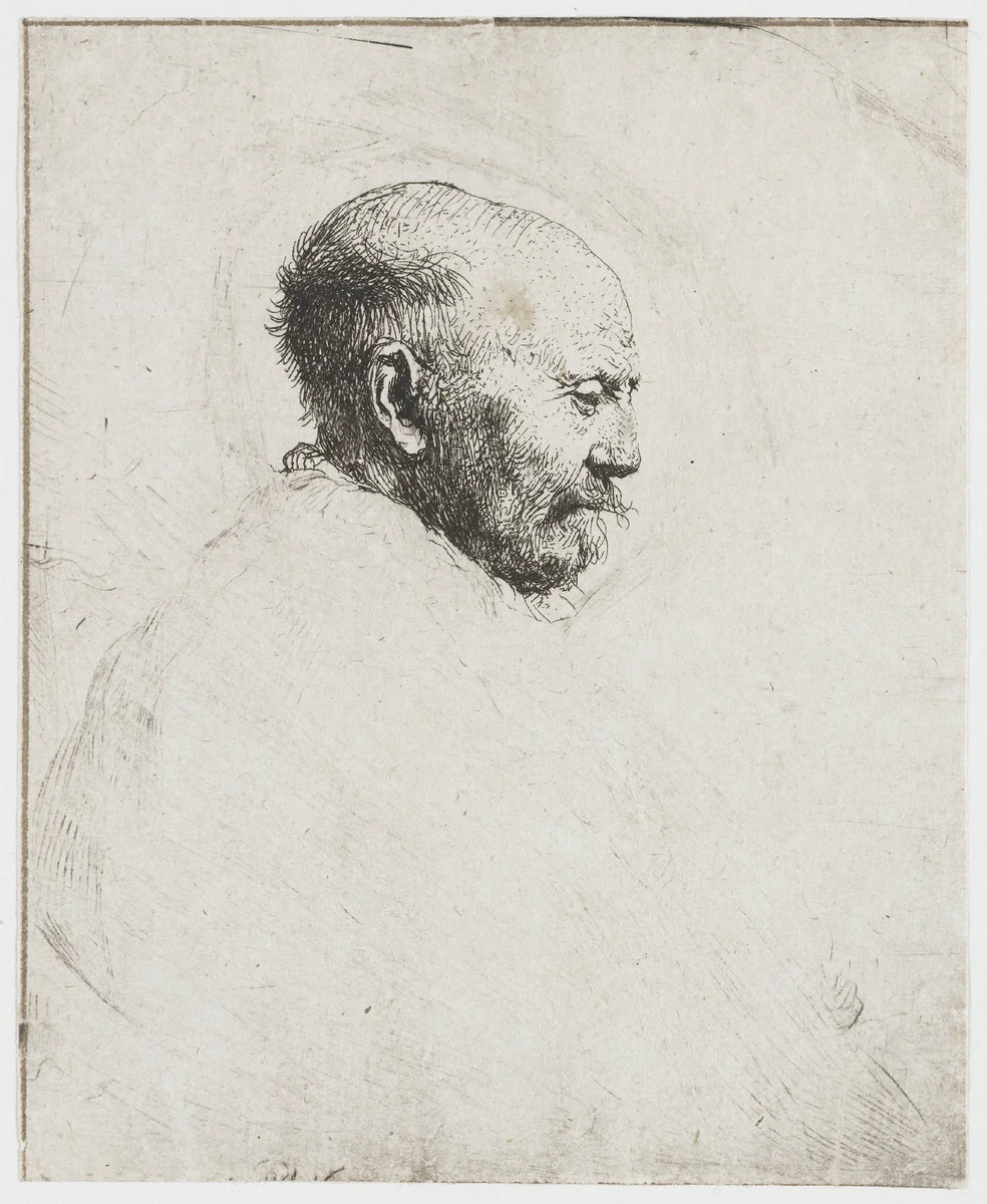 Bald headed man in profile right: the artist's father (?) by Rembrandt van Rijn, print, 1630