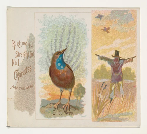 Emeu Wren, from the Song Birds of the World series (N42) for Allen & Ginter Cigarettes by Allen & Ginter, print, 1890