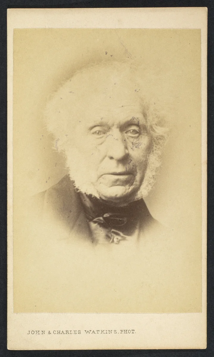 [Sir David Brewster] by John and Charles Watkins, photograph, 1860-1869