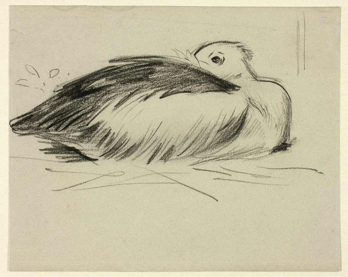 Sketch of Nesting Stork by Henry Stacy Marks, drawing, 1849-1898
