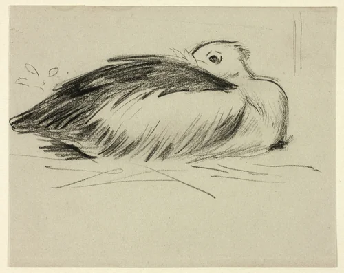 Sketch of Nesting Stork by Henry Stacy Marks, drawing, 1849-1898