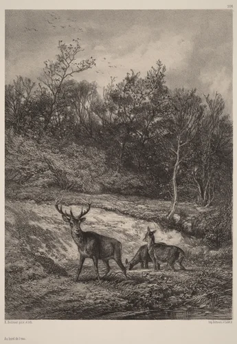 Au bord de l'eau by Karl Bodmer, print, 1809-1893