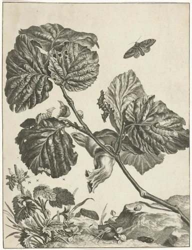 Planten, rupsen en insecten by Jacob l' Admiral, print, 1710-1770