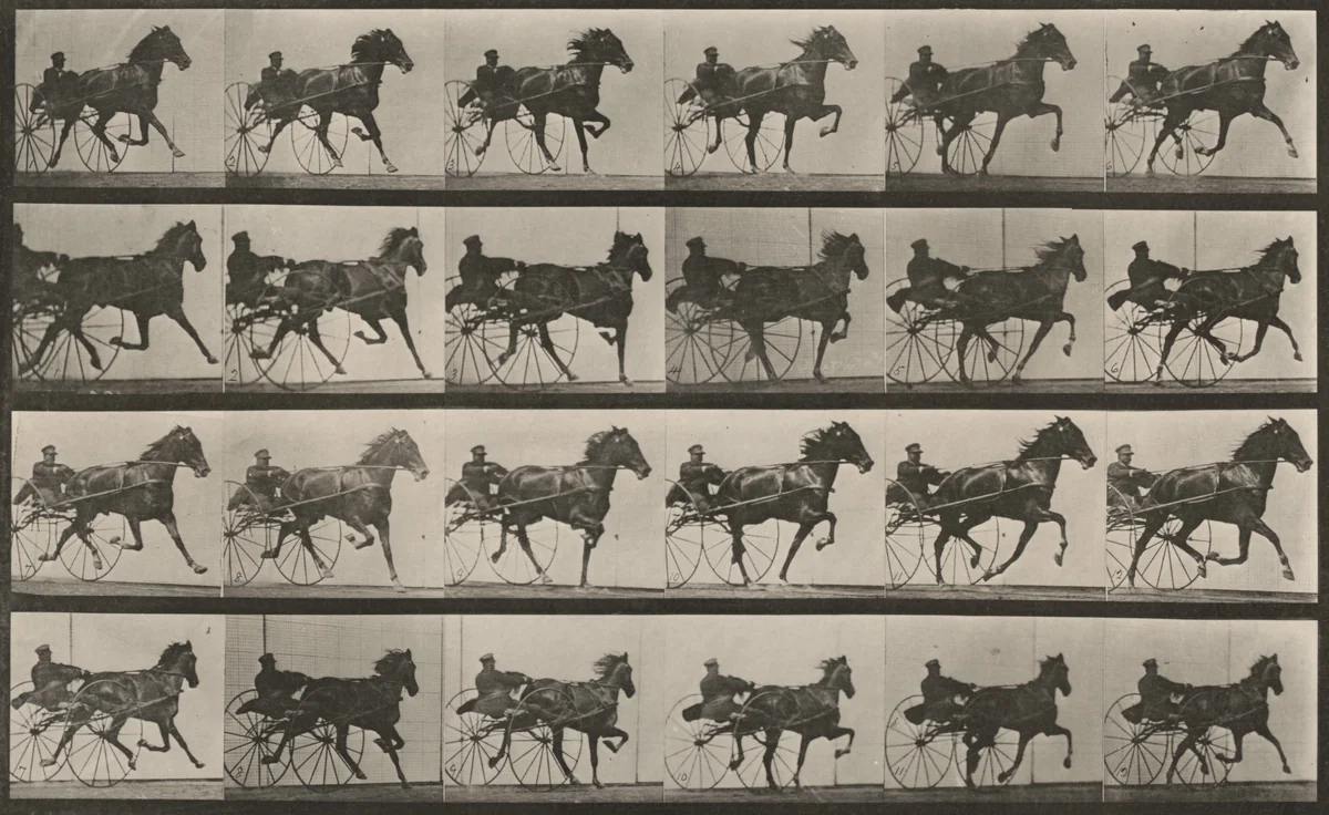 Plate Number 613. "Nellie Rose" trotting, harnessed to sulky by Eadweard Muybridge, photograph, 1887