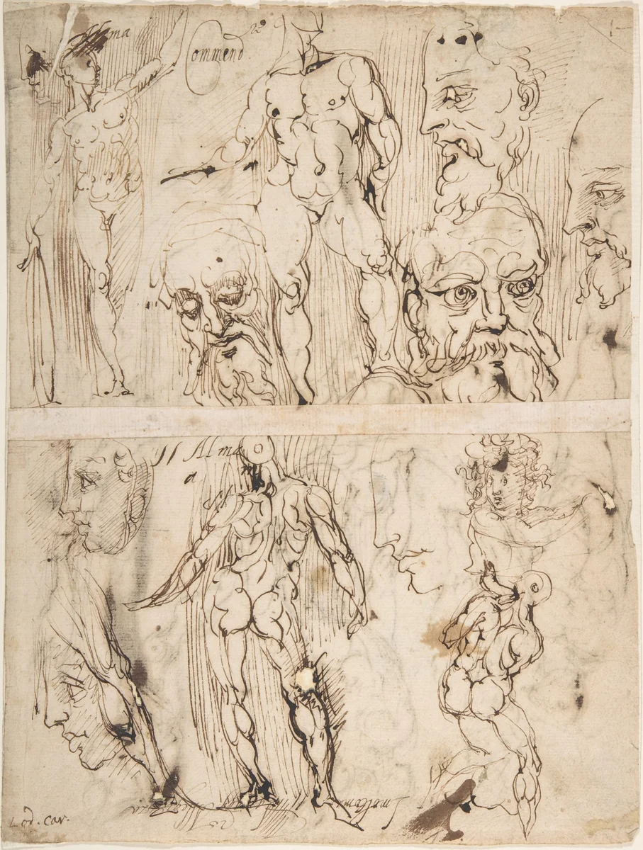 Studies of Nudes and Human Heads (recto and on the verso) by Agostino Carracci, drawing, 1557-1602