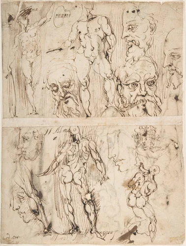 Studies of Nudes and Human Heads (recto and on the verso) by Agostino Carracci, drawing, 1557-1602
