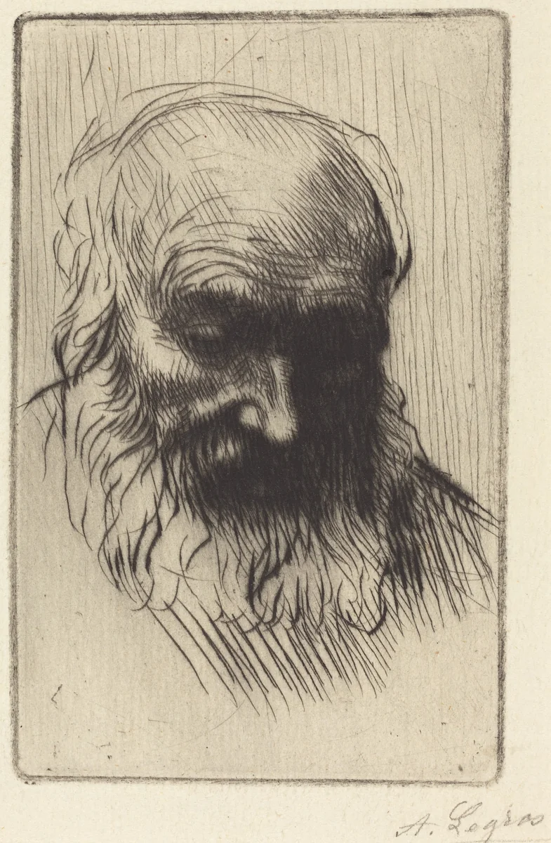 Head of an Old Man (Etude de tete) by Alphonse Legros, print, 1837-1911