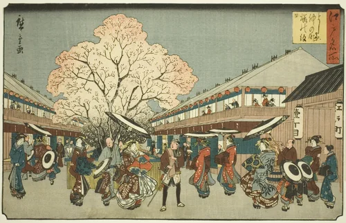 Cherry Blossom Day on the Nakanocho of the Yoshiwara (Yoshiwara Nakanocho Sakura no monbi), from the series "Famous Places in Edo (Edo meisho)" by Utagawa Hiroshige (歌川広重), print, 1835-1858