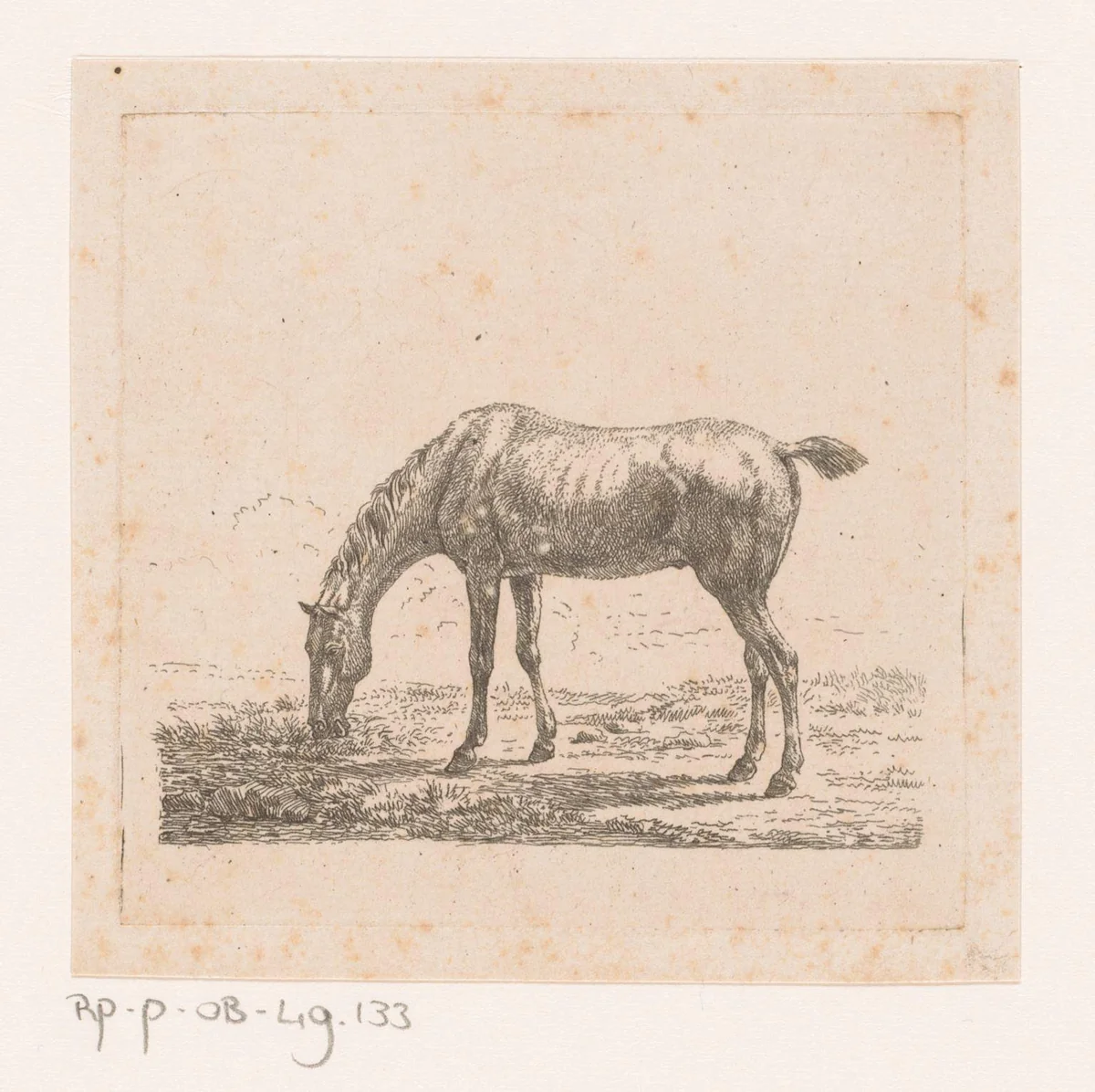 Grazend paard by Pierre-François le Roy, print, 1794-1862
