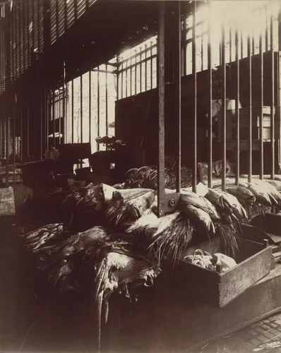 Untitled by Eugène Atget, photograph, 1910