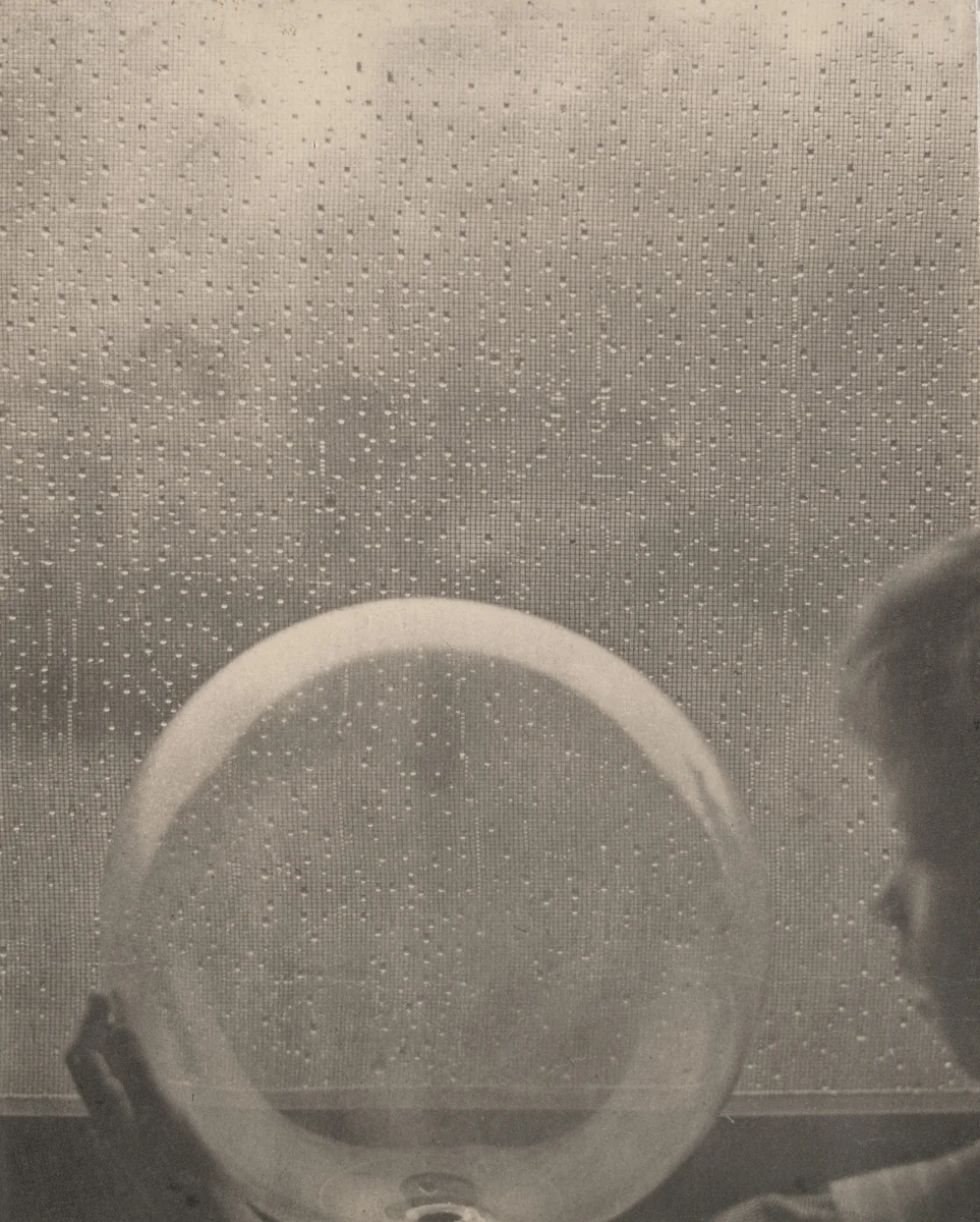 Drops of Rain by Clarence H. White, photograph, 1903