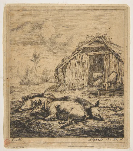 Three Pigs Lying in Front of a Shed by Charles Meryon, print, 1850