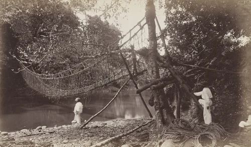 Bridge over the Rio Oscito, Retalhuleu by Eadweard Muybridge, photograph, 1875